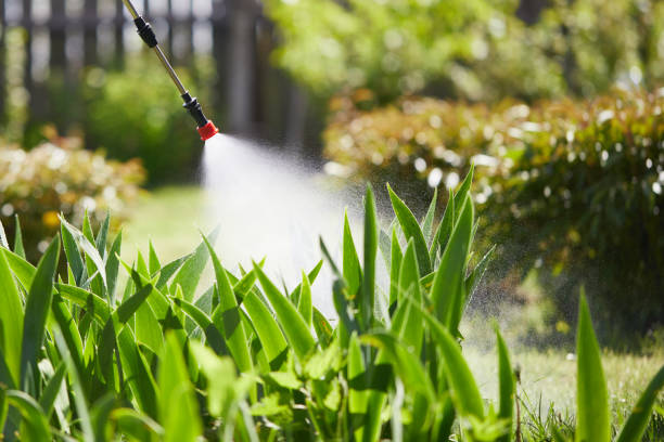 Tamper-Resistant Bait Stations for Rodents in Mattawan