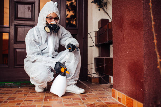 Attic and Crawl Space Rodent Treatment in Mattawan