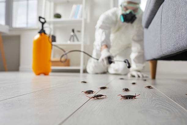 Commercial Rodent Management in Mattawan